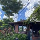 힐링요가(2반) | 발리 우붓 요가원 - 요가반,래디언틀리어라이브,알케미요가 원데이클라스 후기(24.02 version)