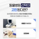 365동물병원 이미지