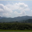 오천서울식당