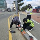 포항시 북구청 노컷뉴스