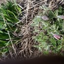 송암농장 이미지