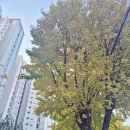 (주)만수