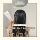 티아헤어 | 푸석한 머릿결 고민 끝 비오티아 리본드 헤어 트리트먼트 후기