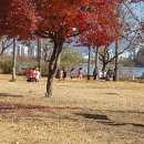 삼운사유치원 이미지