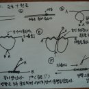 매듭법----원줄과 원줄, 원줄과 목줄을 연결하는법!! 초 첨단 구래픽!!!! 이미지