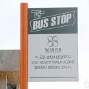 초여름 바다 감성 가득한 강릉 주문진 BTS 버스정류장 촬영지 인생샷 여행 이미지
