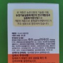 ２１６홍삼나라 | 성장기 어린이와 청소년을 위한 영양제 추천,키스타 오렌지맛-롱펩 콜라겐(돈피) 42%