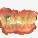 다올치과기공소 이미지