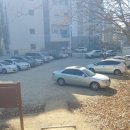 남산 유아숲체험원 이미지