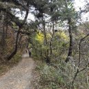 베리베리굿