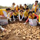 감자바위 이미지