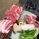 신사동 산93-1 이미지