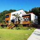 김동환공인중개사사무소 이미지