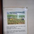 할머니 보리밥 이미지