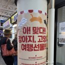 제주멍냥밥상 이미지