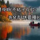 부결자화(不結子花)는 휴요종(休要種)이요 이미지