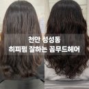 꼼무드헤어 - 천안시 서북구 성성5로 113 | 천안 성성동 : 꼼무드헤어, 히피펌 잘하는 미용실 추천