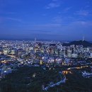 야생화길 이미지