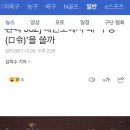 참다운 태권도 | 태권도 기록: 성인 태권도 후기 10개월 차 / 취미 운동