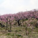 천지자연마을 이미지