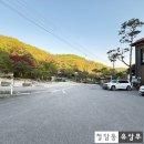 [수지 예송원테이블] 주말 가족 외식장소로 추천하는 함박 스테이크 맛집