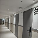 스테이52