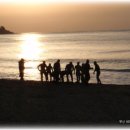 4월 11일 부산바다수영 해운대와 하나되다 이미지