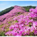 아영면 오산마을 이미지