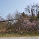 해명산324m(석모도).21.4.10. ; 진득이고개-해명산-새가리고개-낙가산-보문사주차장(to;6.85km.T;5.7h).마을버스로감 이미지