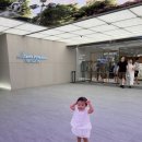 GS25잠실하늘점 | 서울 아기랑 갈만한곳 실내추천 !리뉴얼된 63빌딩 스카이피크닉 입장권 할인 및 주차팁