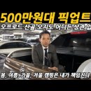 500만원대 중고 픽업 트럭들 이미지