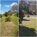 초록부동산중개사무소 이미지