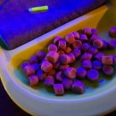 잉어킹낚시카페 이미지