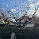 화진담 | 천안 광덕 화진담 고요하고 잔잔한 분위기 카페 추천