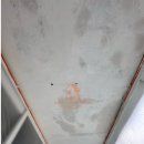 미주페인트 이미지