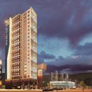 이음펫 유치원 이미지