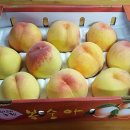 경강로261 이미지