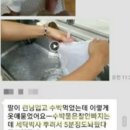 박사 세탁 이미지
