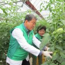 서면농장 이미지