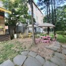 땡큐애견 이미지