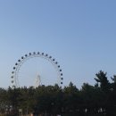 속초로망스애견동반펜션 | 가성비 넘치는 애견동반 속초로망스 펜션 추천 후기