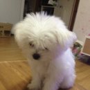 봄내병원 이미지