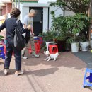 ㈜제주사랑렌트카 | 🚘 제주렌트카 타고 떠난 커플 여행, 그 설렘의 시작