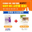 샵앤코리아