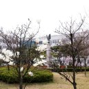 한국사회교육원 이미지