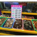 대성수족관 이미지