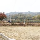 용산1리 이미지