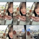 뽀송 이미지