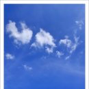 시나브로 이미지