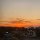 제주 브로딕 이미지